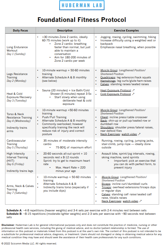 The Productivity & Organization Systems I Use to Run My Work (and Life)