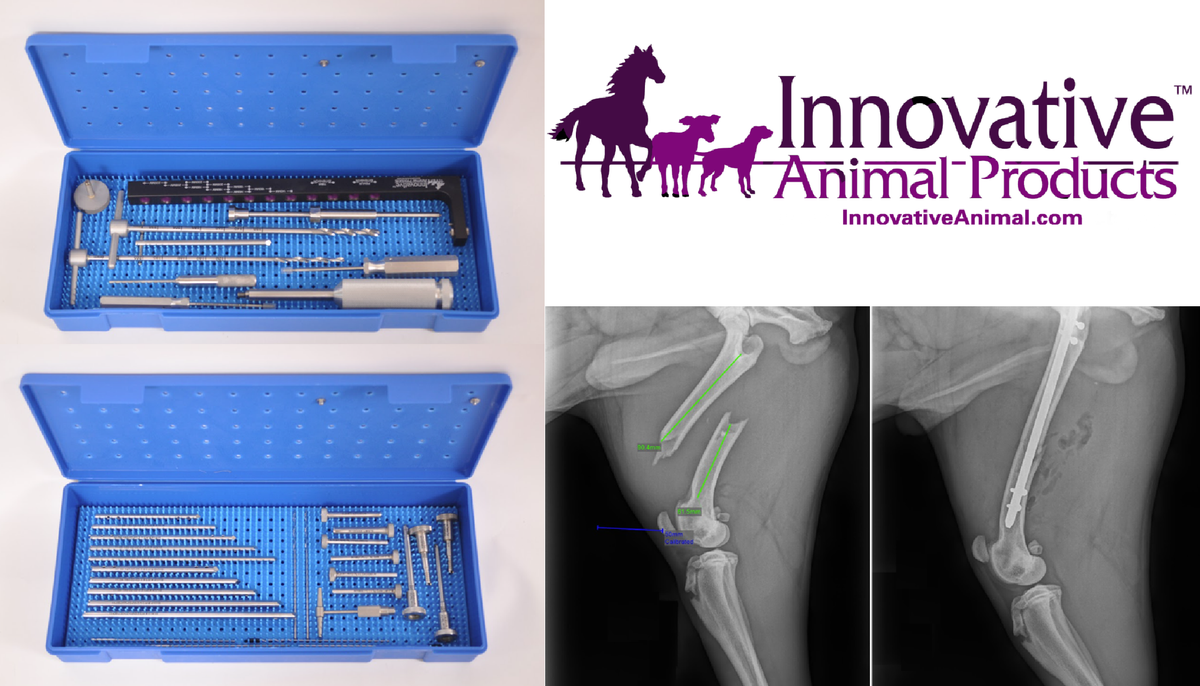 11. Veterinary Orthopedic Fracture Fixation