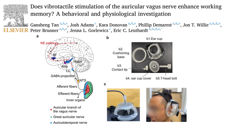 Does vibrotactile Vagus Nerve Stimulation enhace memory?
